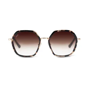 Amsterdam Edge Umber Tortoise Brown