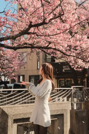 Cable Knit Long Sleeve Sweater Mini Dress
