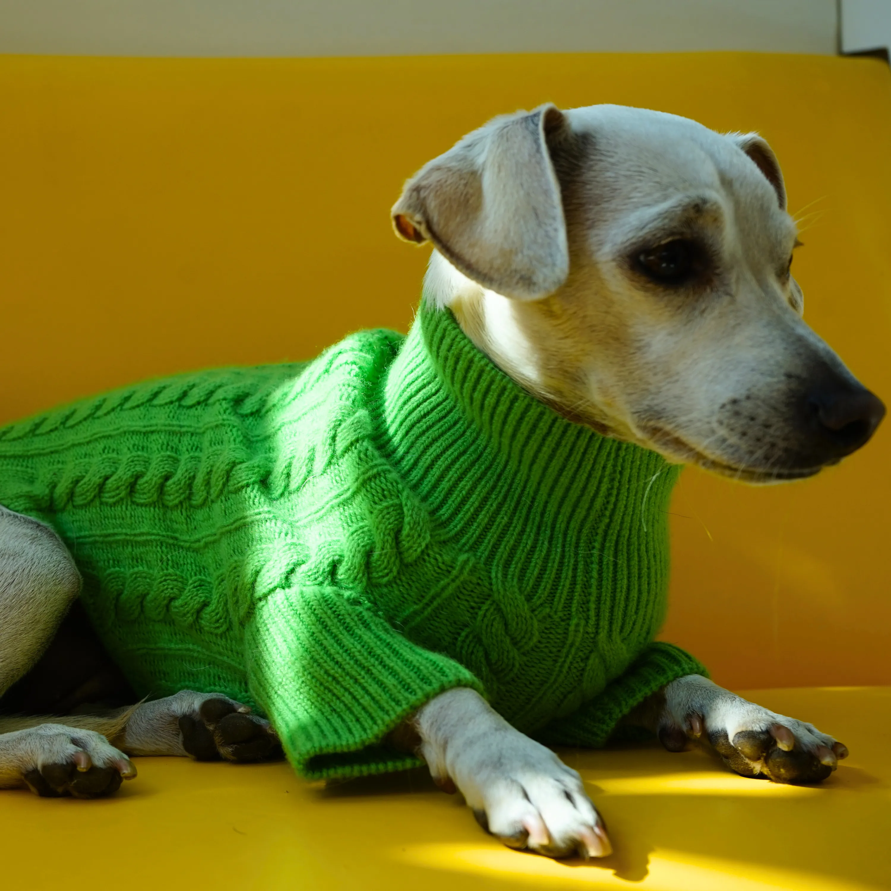 Cashmere Cable Knit Sweater