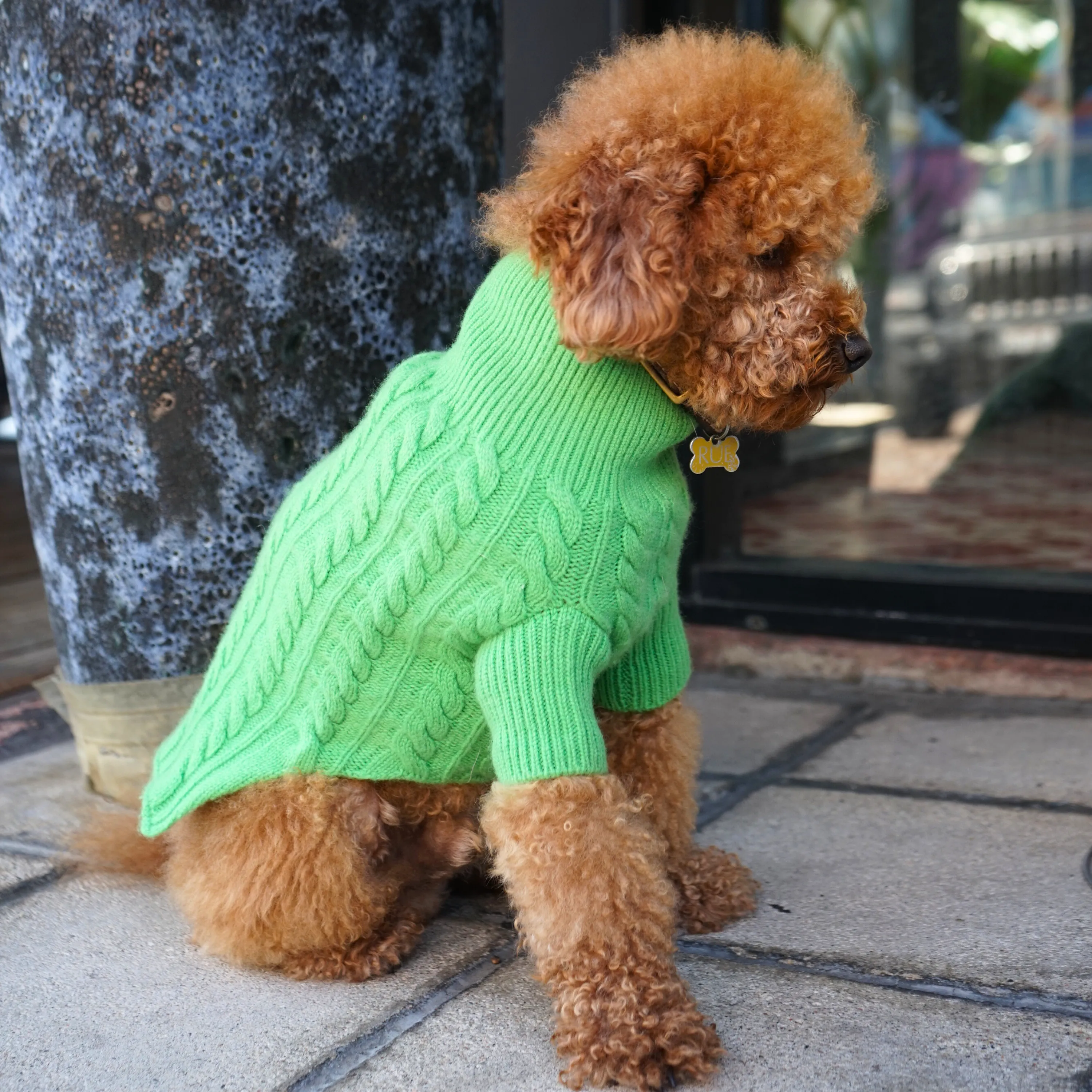 Cashmere Cable Knit Sweater