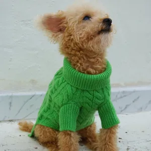 Cashmere Cable Knit Sweater