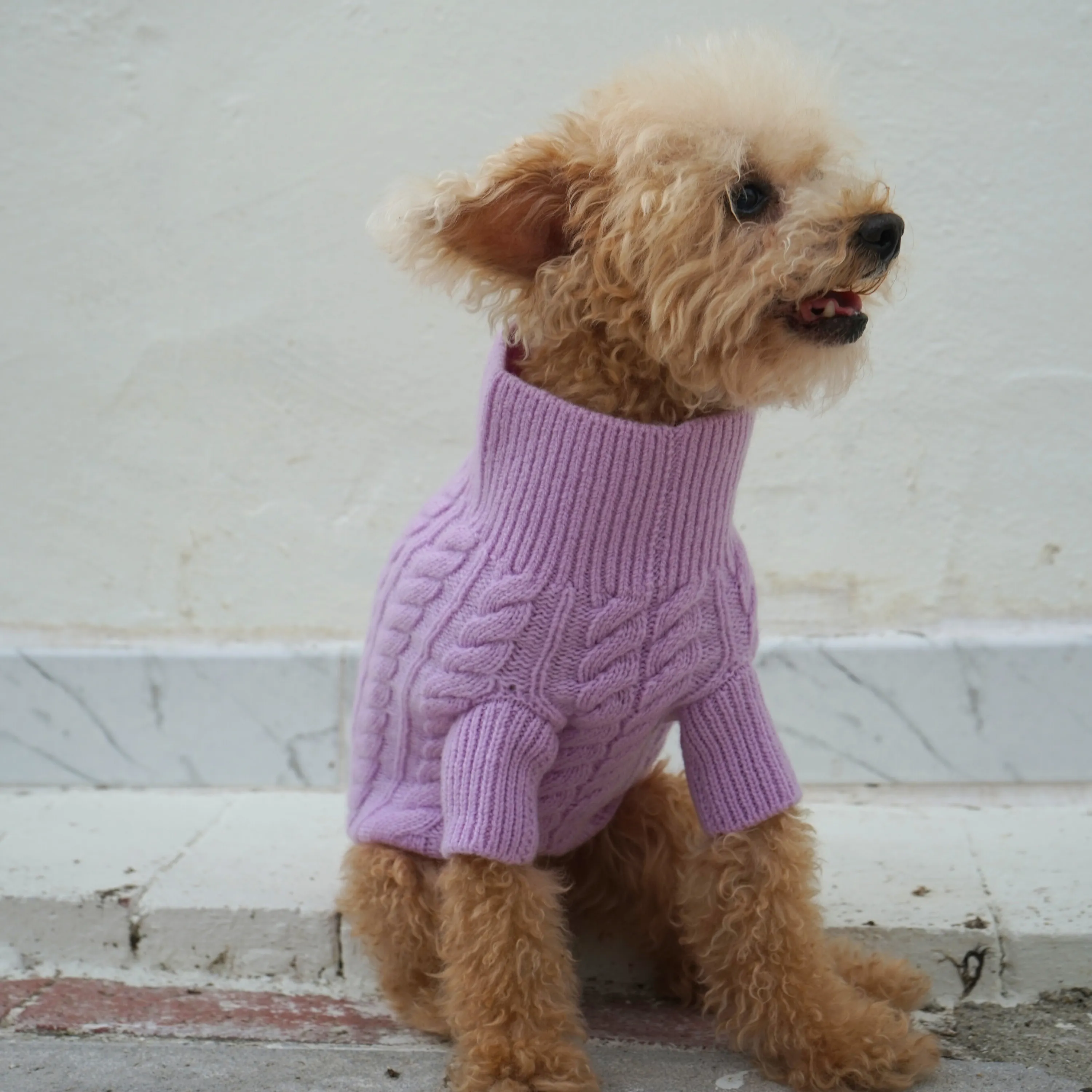 Cashmere Cable Knit Sweater