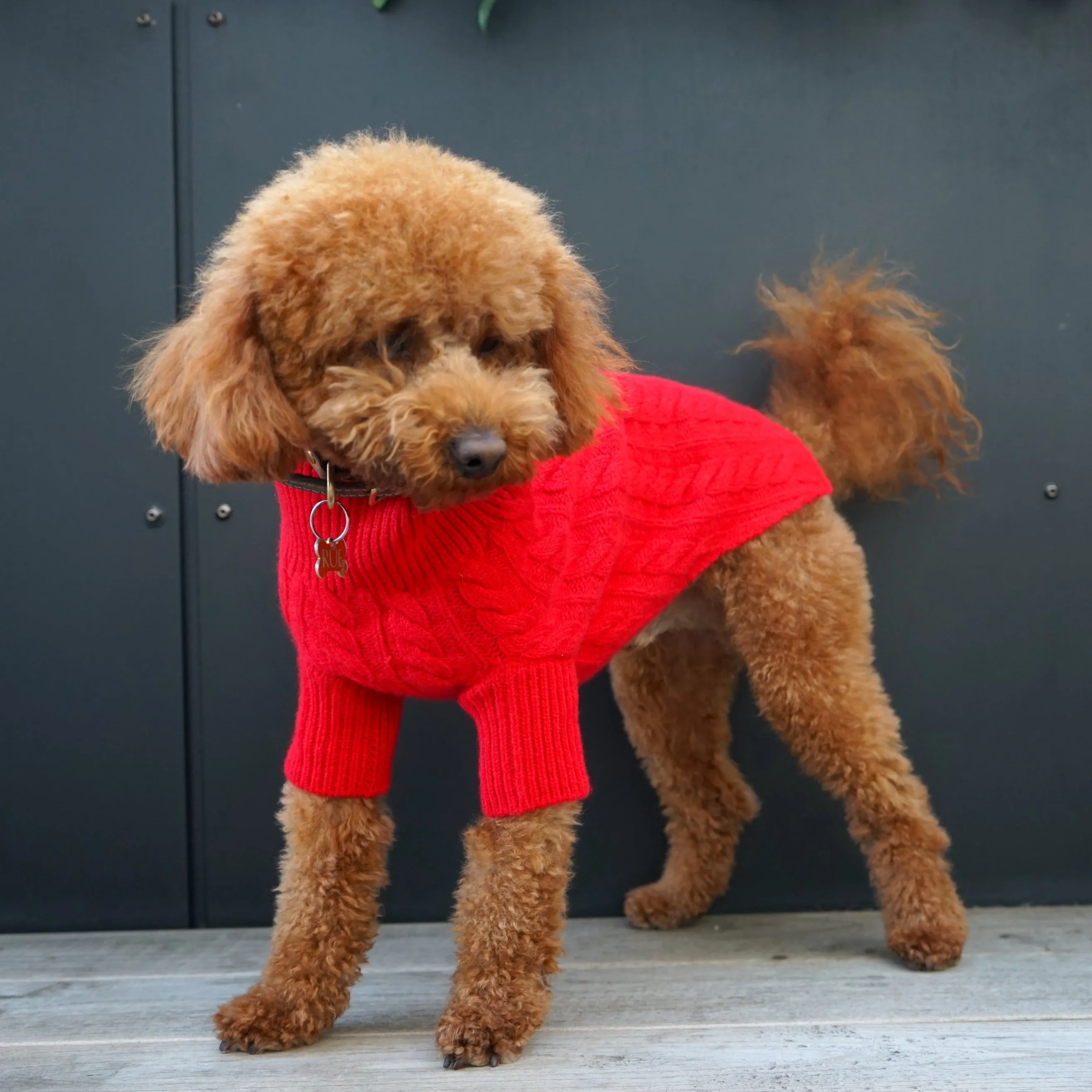 Cashmere Cable Knit Sweater