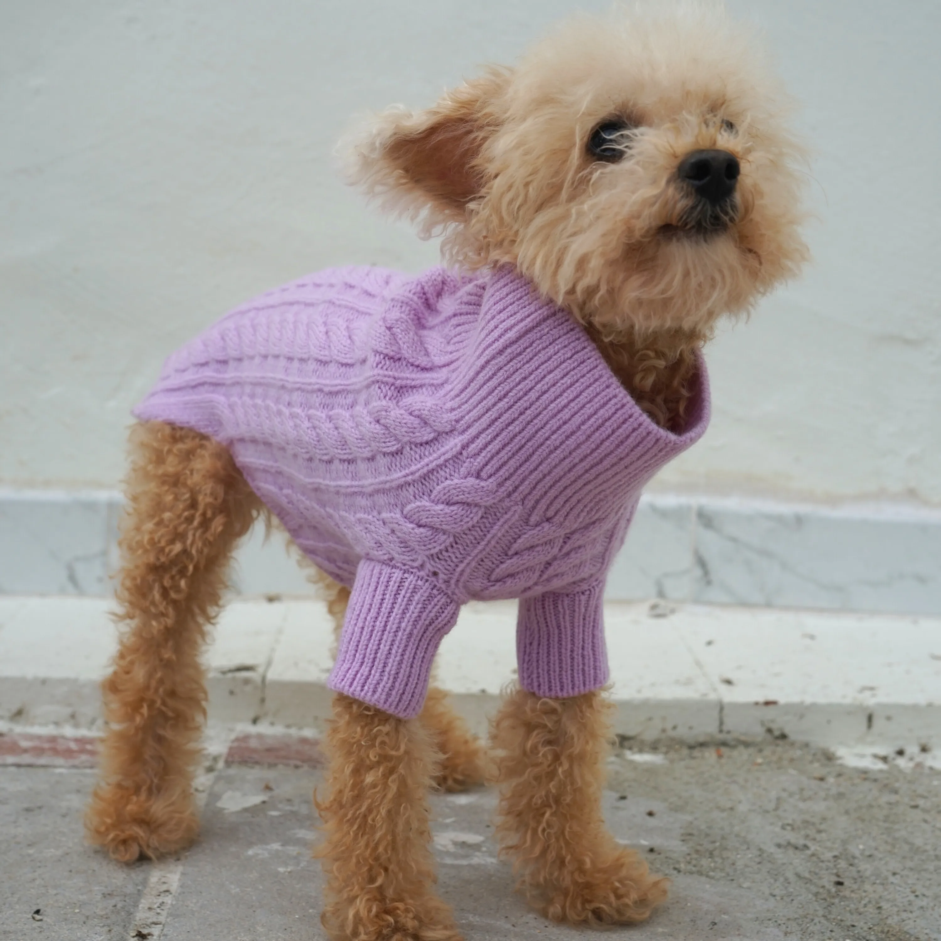 Cashmere Cable Knit Sweater