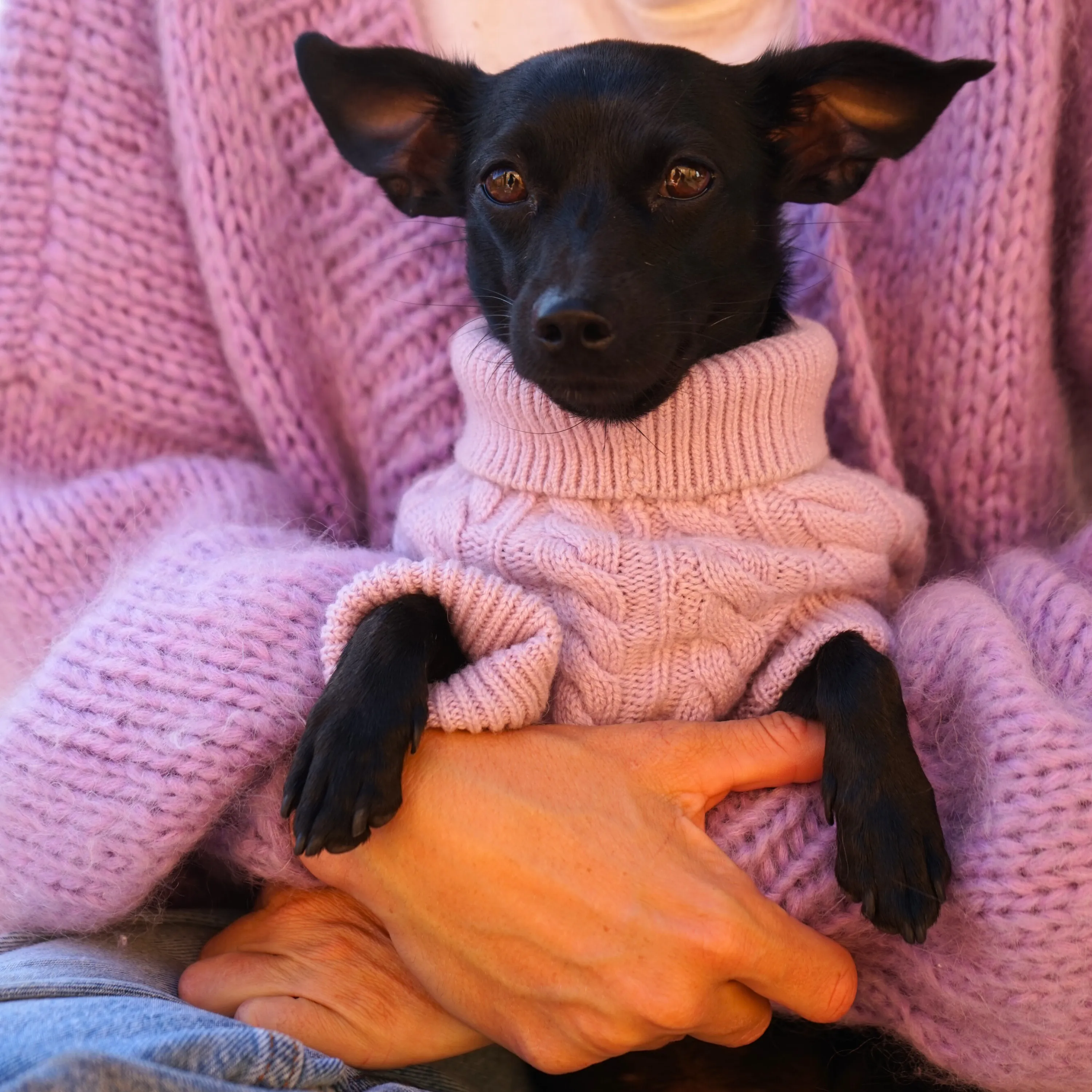 Cashmere Cable Knit Sweater