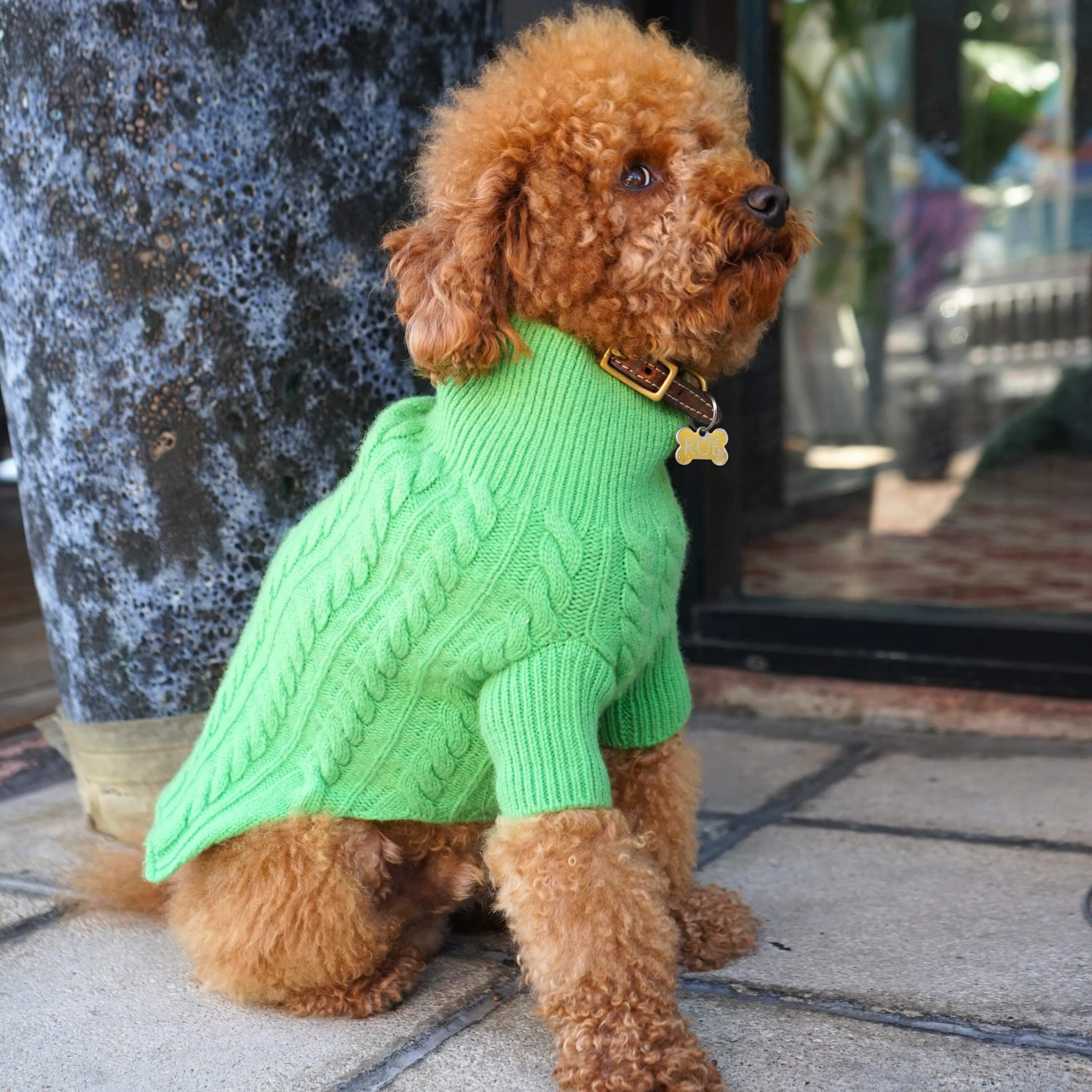 Cashmere Cable Knit Sweater