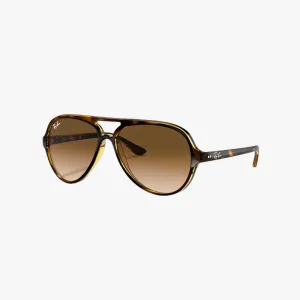 Cats 5000 Classic Polished Light Havana W/Light Brown Gradient
