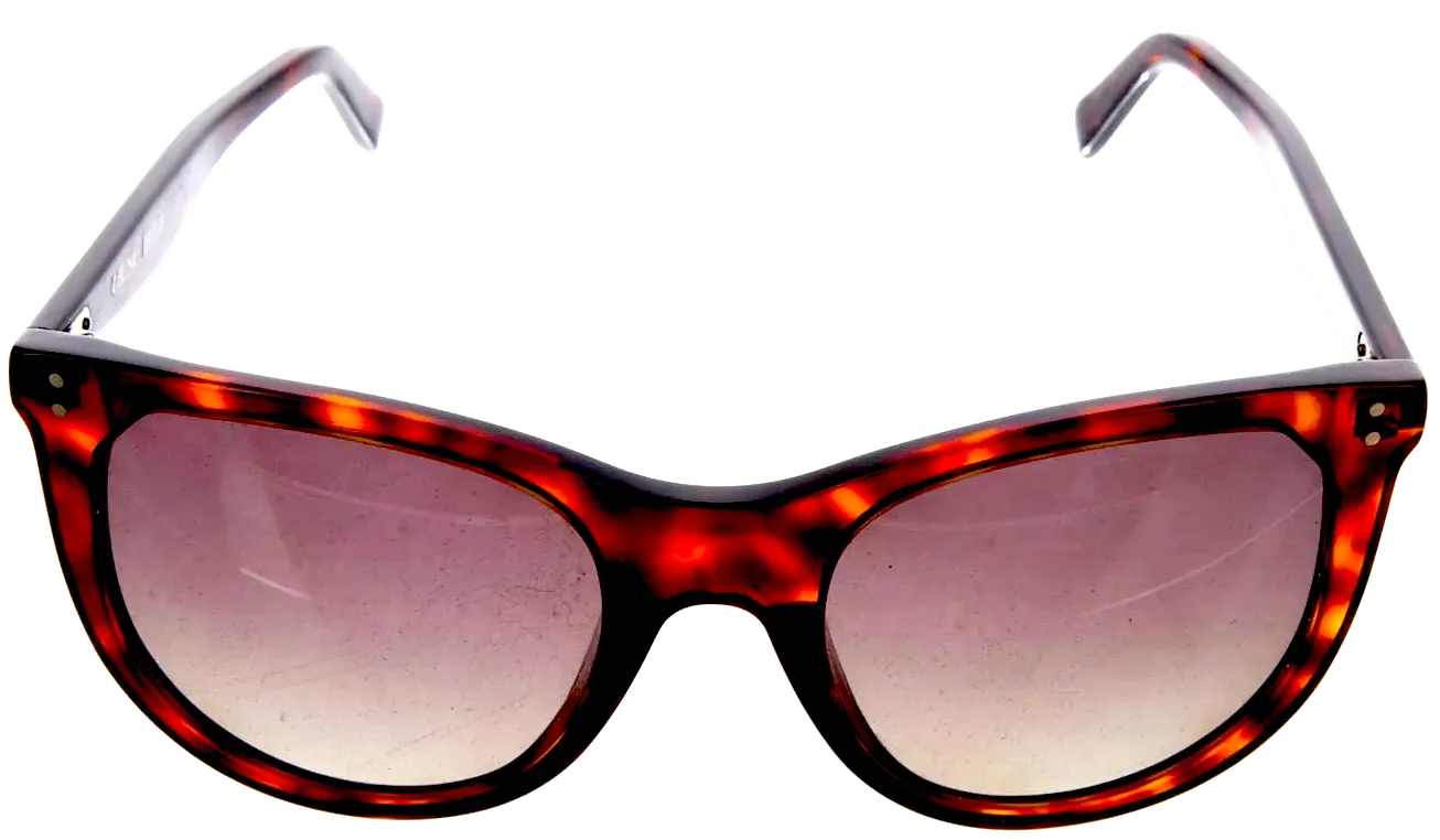 CELINE Paris. Vintage Heidi Slimane Oversize Gradient Sunglasses