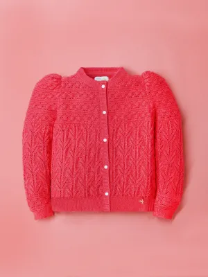 Cherry Crumble Fuchsia Crochet Knitted 100% Viscose Full Sleeves Round Neck Casual Wear Fitted Winter Sweater For Girls