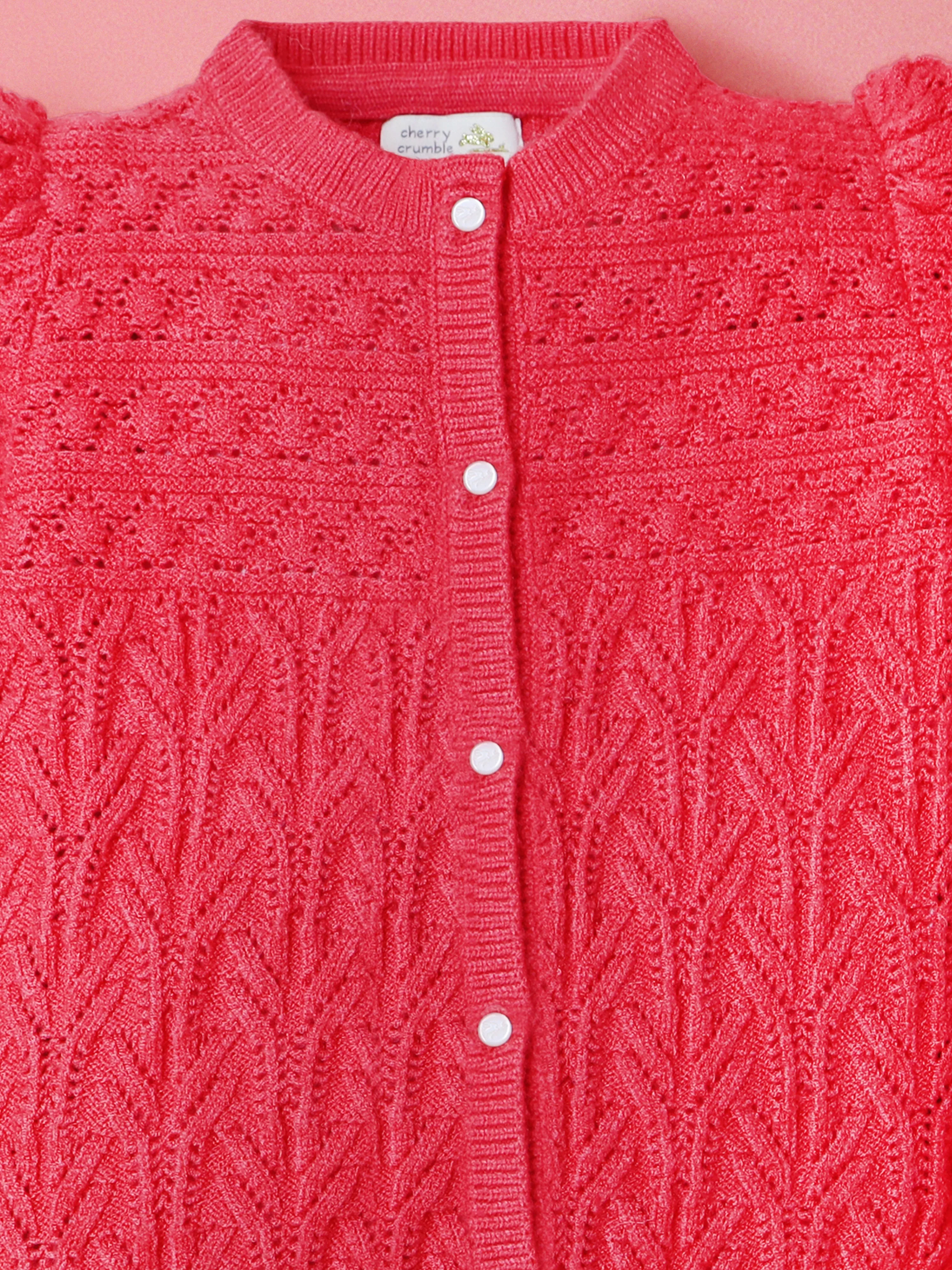 Cherry Crumble Fuchsia Crochet Knitted 100% Viscose Full Sleeves Round Neck Casual Wear Fitted Winter Sweater For Girls