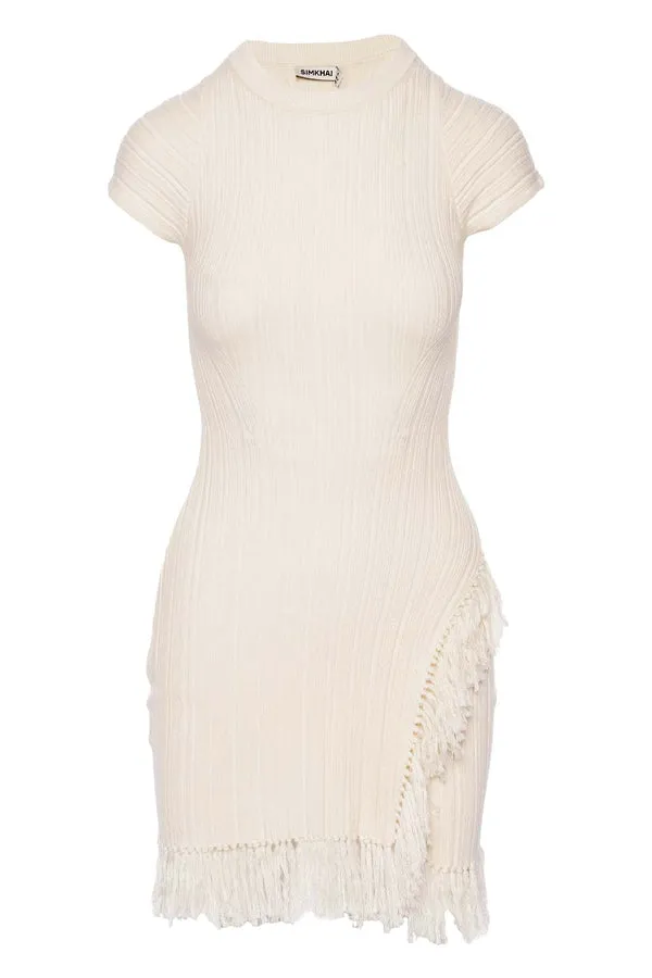Demitria Mini Dress