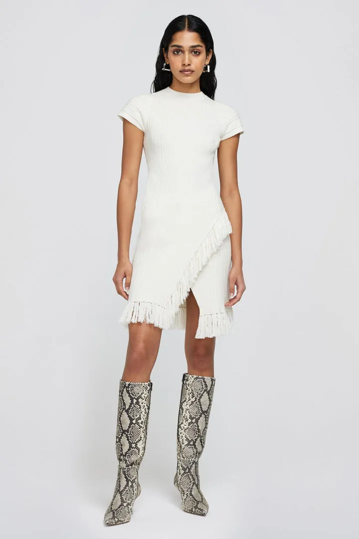 Demitria Mini Dress