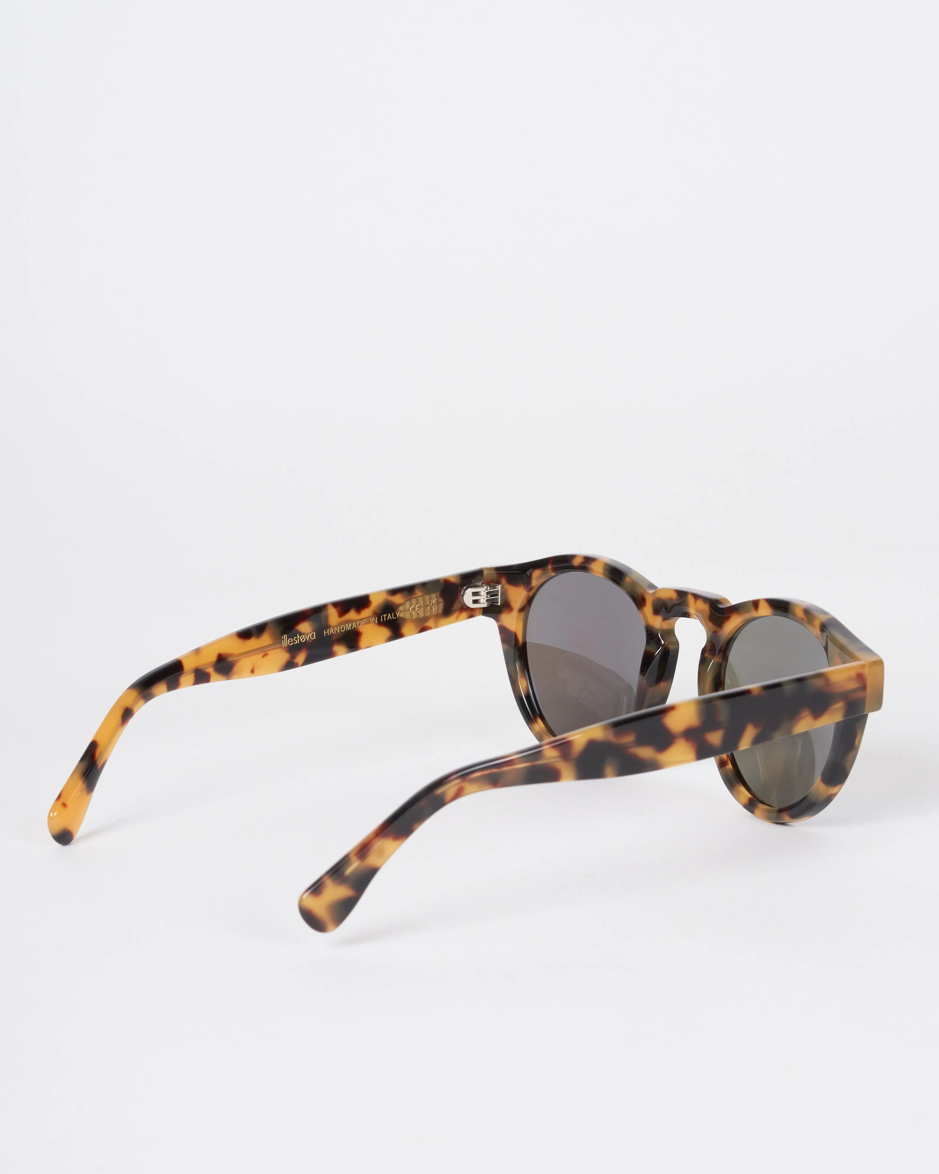 leonard - tortoise with blue mirror