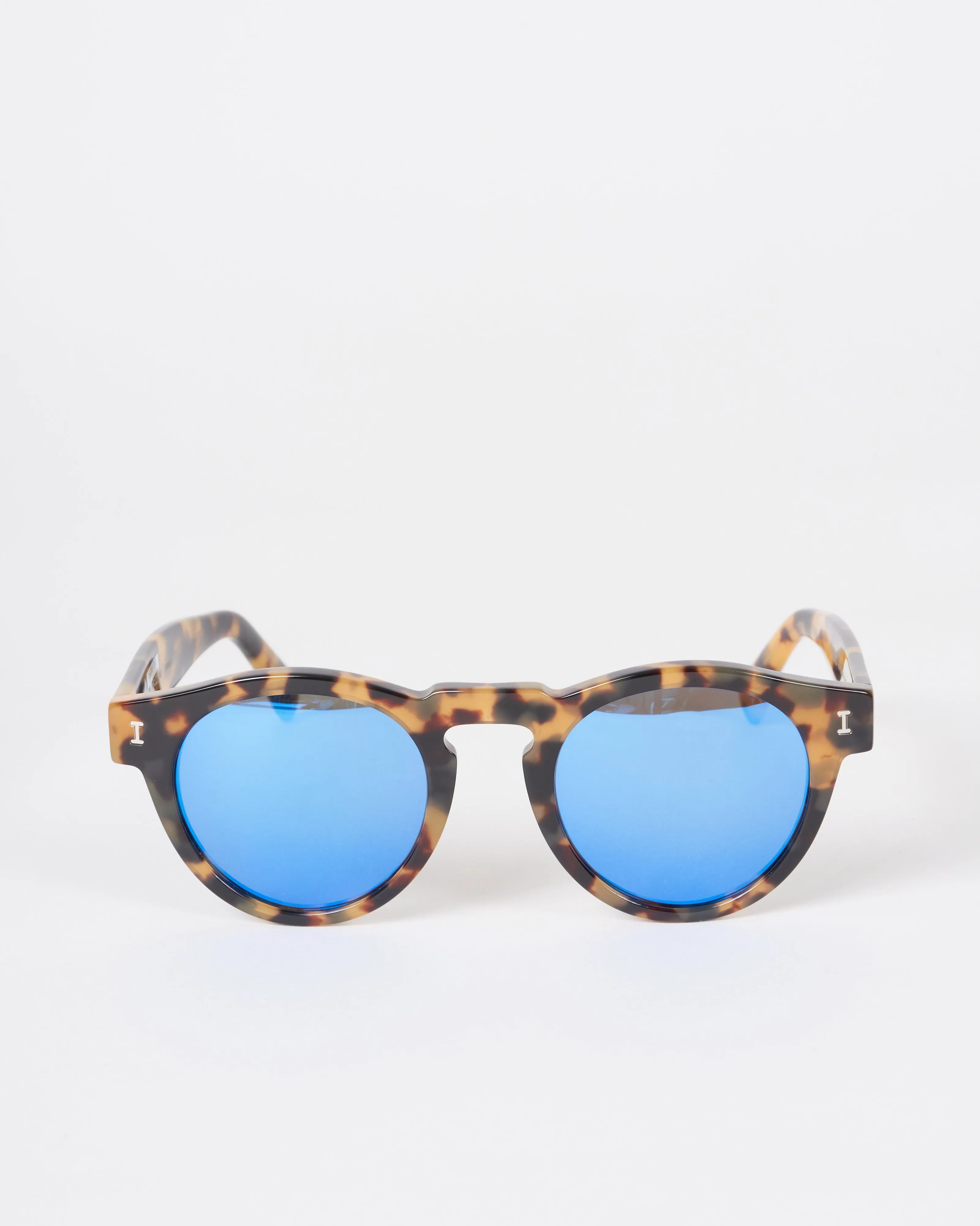 leonard - tortoise with blue mirror