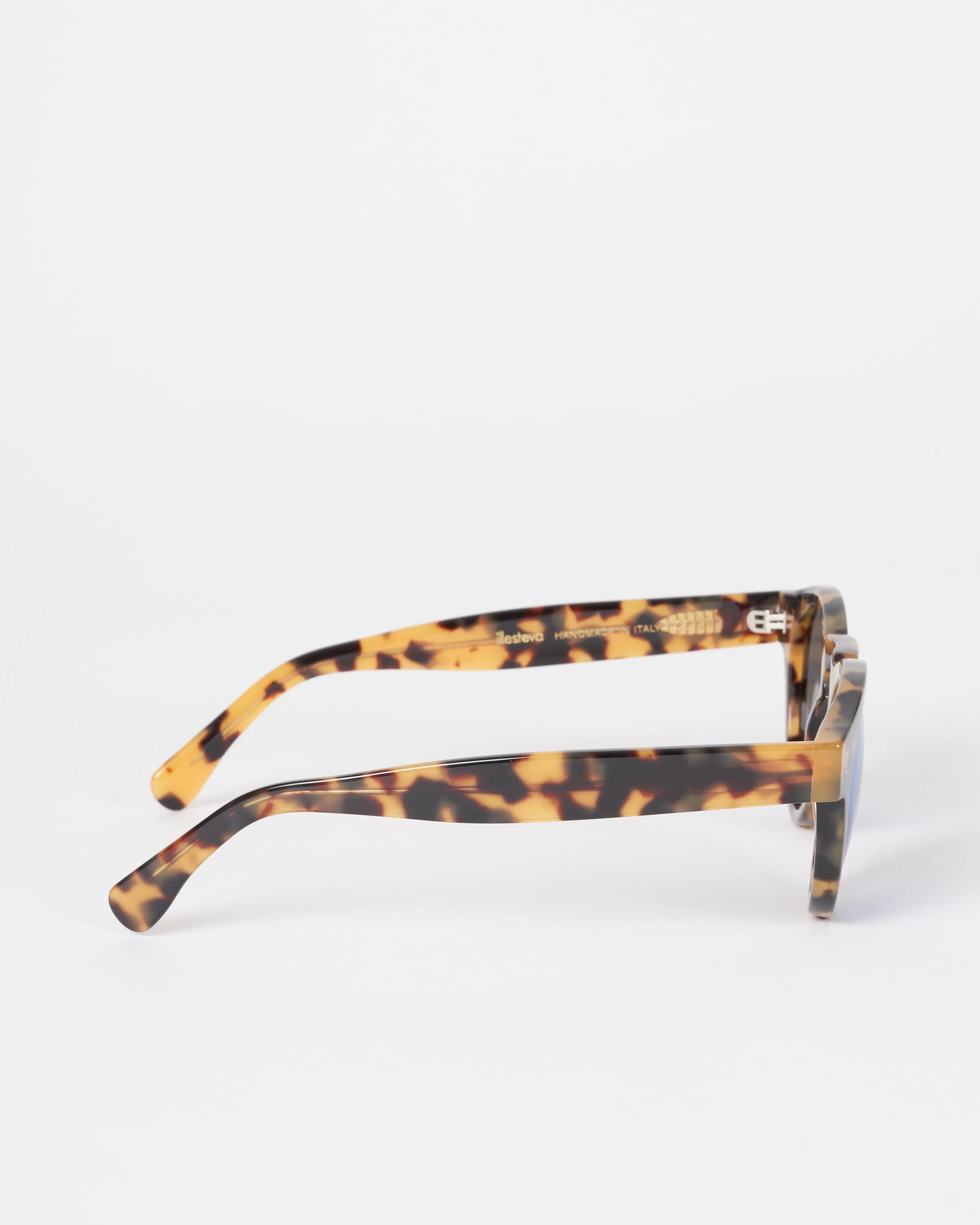 leonard - tortoise with blue mirror