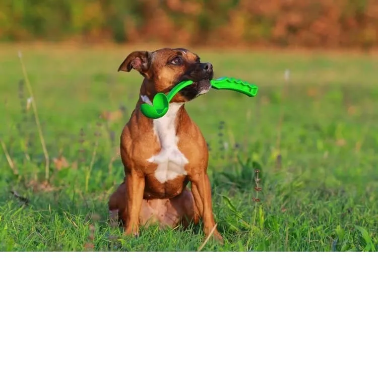 Pets Play Ball Launcher 50CM