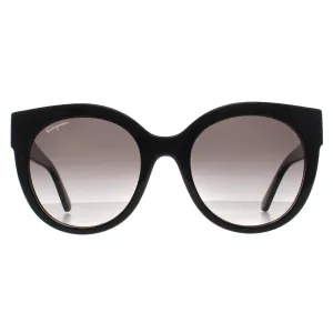 Salvatore Ferragamo Sunglasses SF1031S 001 Black Grey Gradient