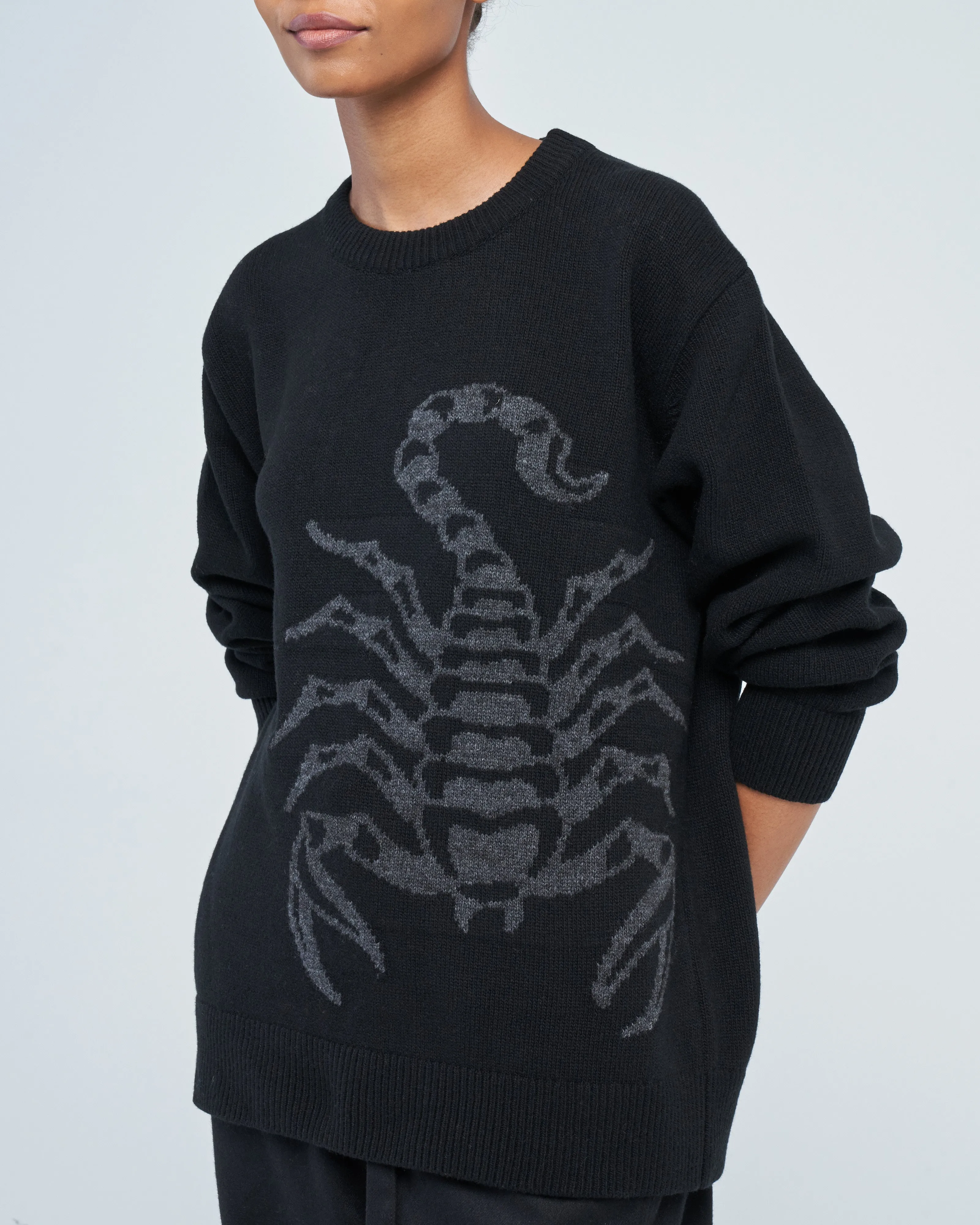 scorpion sweater