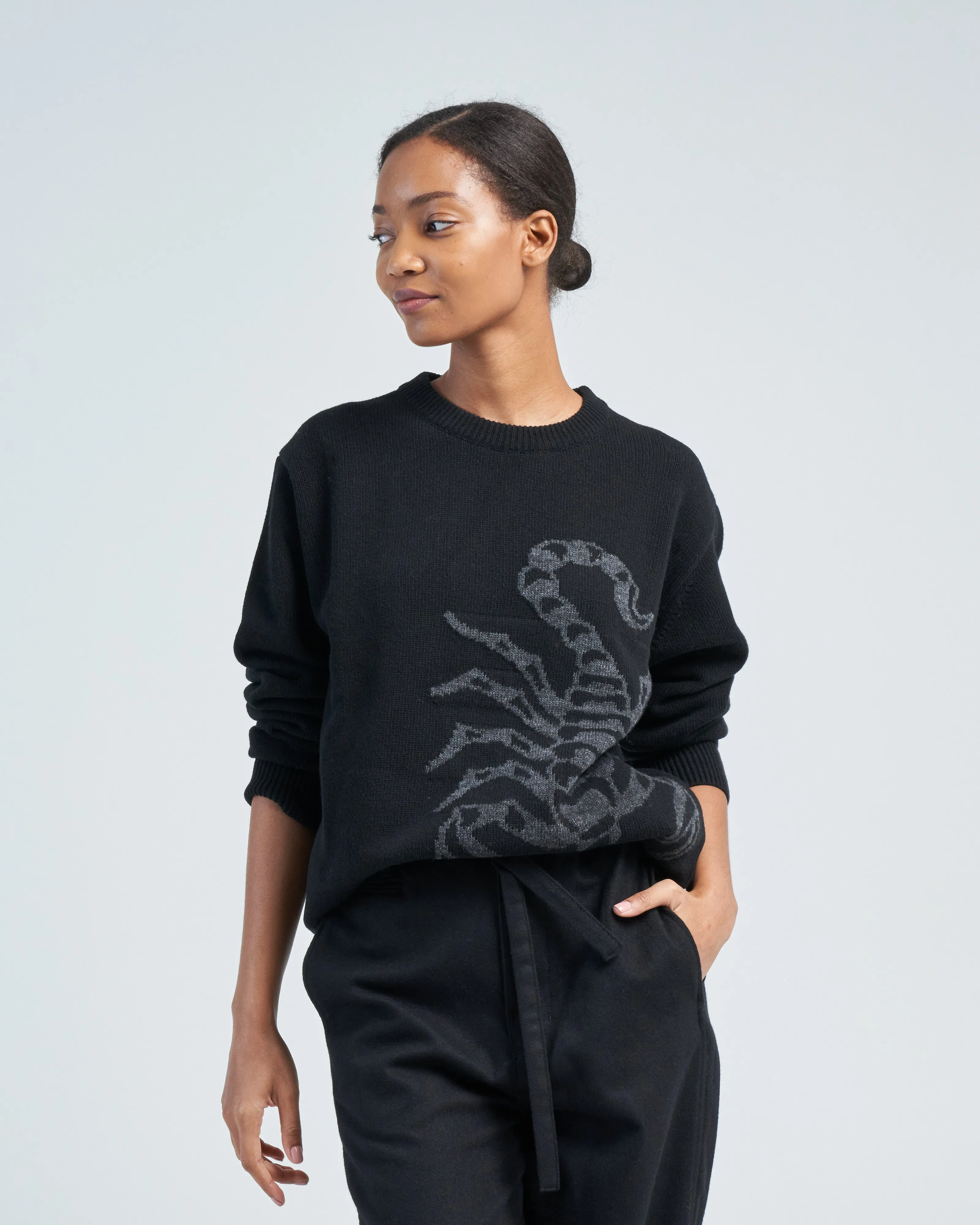 scorpion sweater