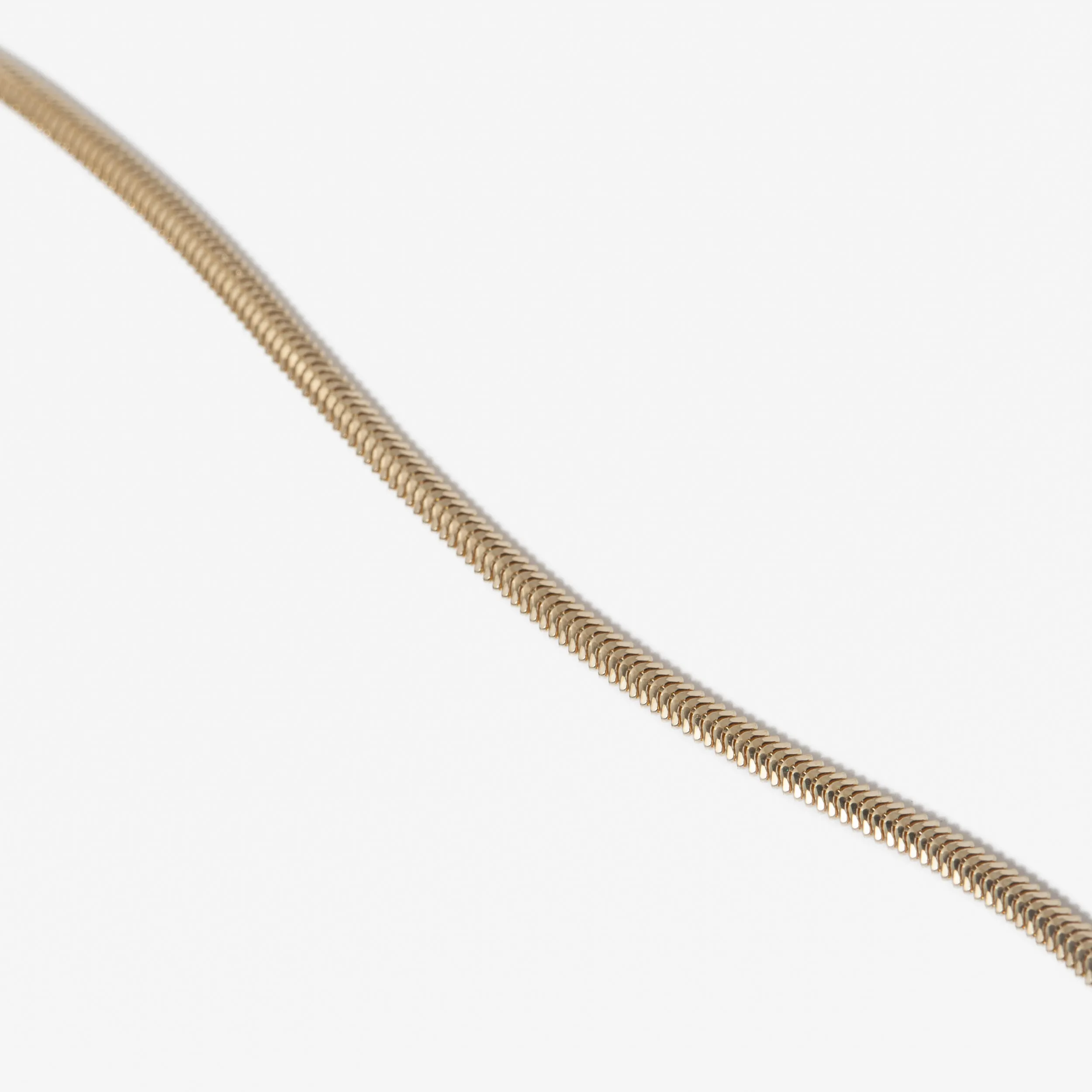 Small Oval Snake Chain Necklace
