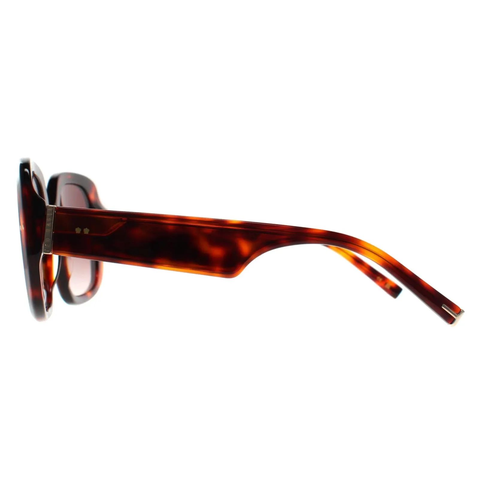 Ted Baker Sunglasses TB1730 Catrina 100 Tortoise Brown Gradient