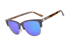 The Loggerheads Polarized