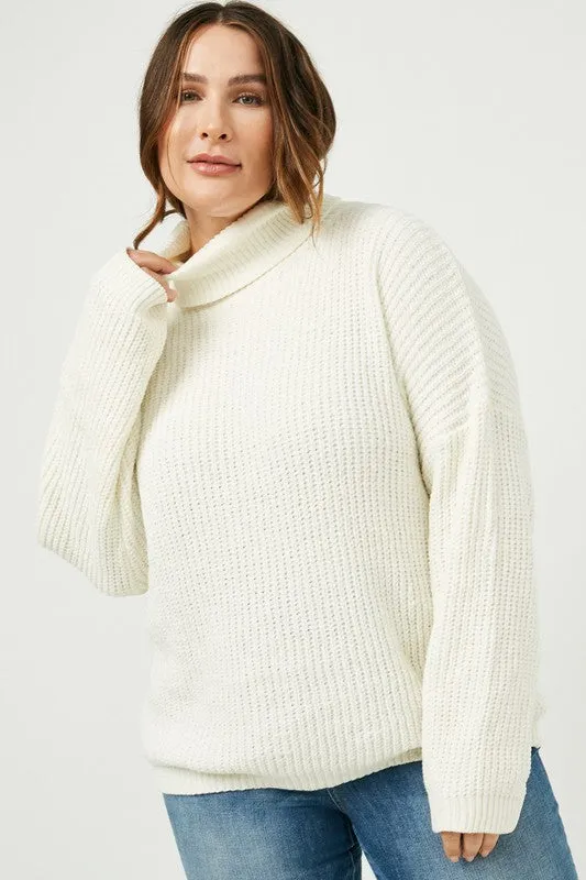 Velvet Turtleneck Sweater